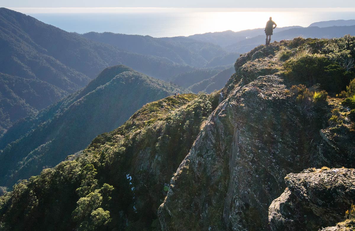 Paparoa Mountain 